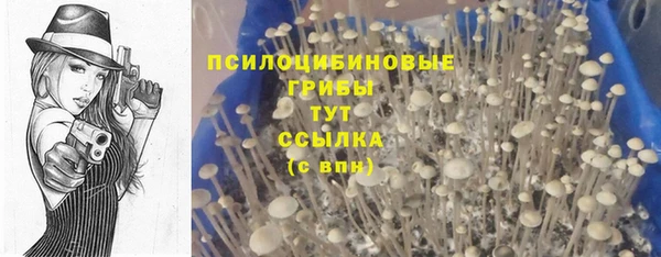 не бодяженный Переславль-Залесский