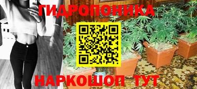 индика Ипатово