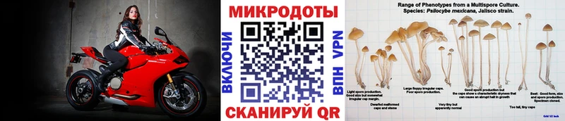 Галлюциногенные грибы прущие грибы  Печора 