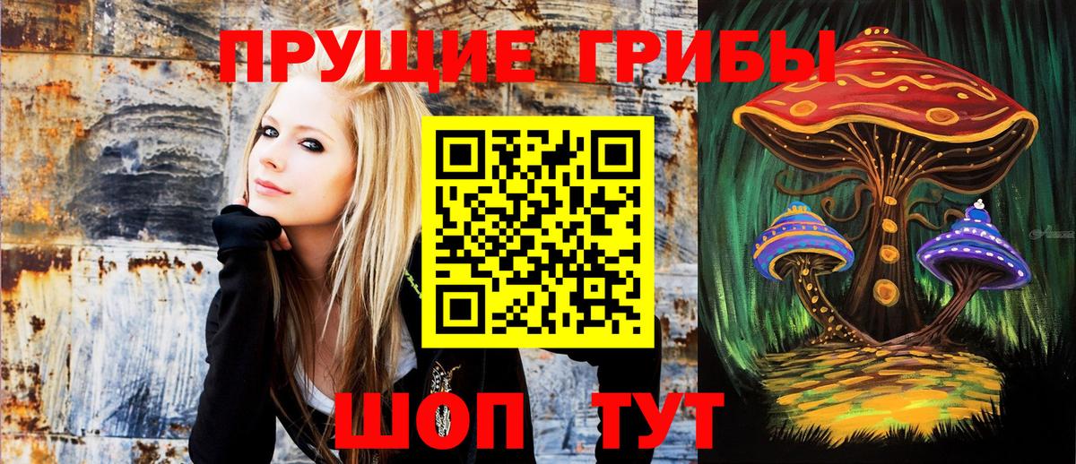 Галлюциногенные грибы мухоморы Печора