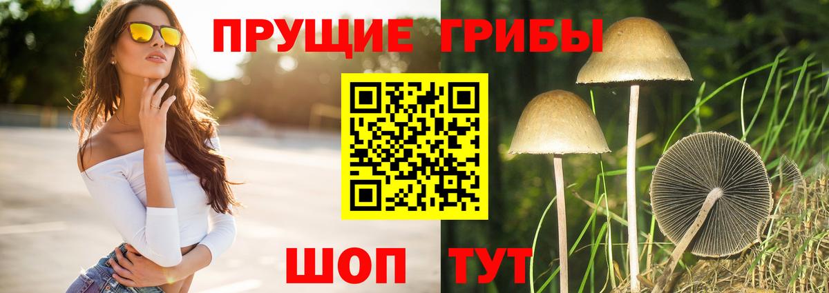 Галлюциногенные грибы Psilocybine cubensis  Галлюциногенные грибы мицелий  Вход с VPN  Печора 